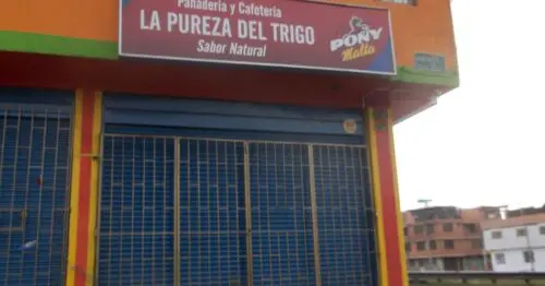 PANADERIA Y CAFETERIA LA PUREZA DEL TRIGO PANADERIA Y CAFETERIA LA PUREZA DEL TRIGO